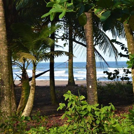 Hotel Pura Natura Beachfront Tortuguero Exterior foto