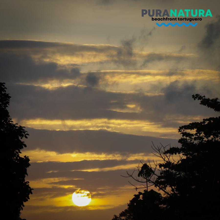 Hotel Pura Natura Beachfront Tortuguero Exterior foto