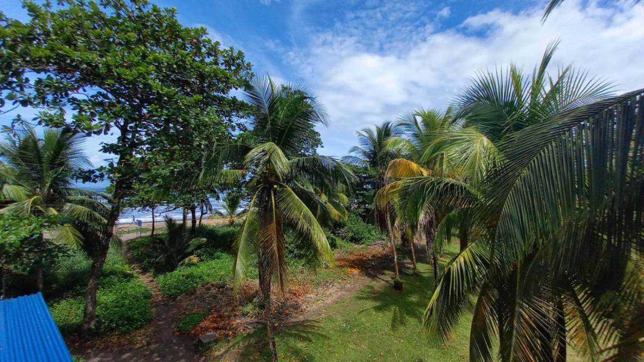 Hotel Pura Natura Beachfront Tortuguero Exterior foto