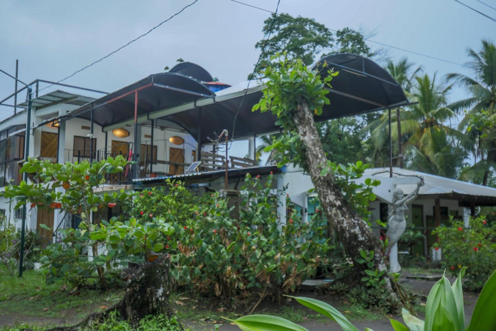 Hotel Pura Natura Beachfront Tortuguero Exterior foto