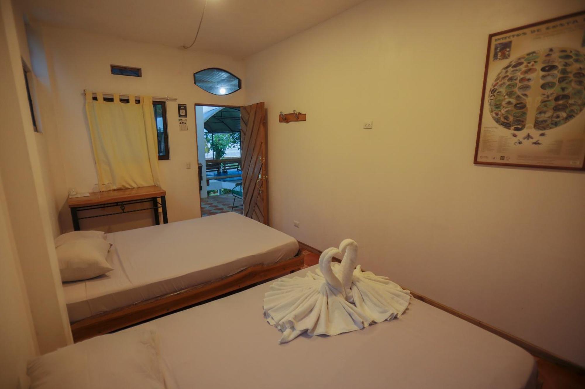 Hotel Pura Natura Beachfront Tortuguero Exterior foto